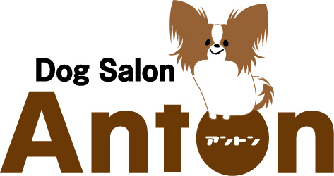 富山県滑川市のトリミングのお店『DogSalon Anton』