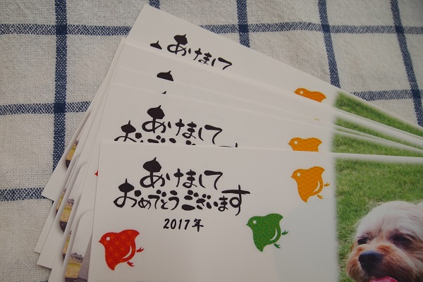 ご存知ですか 17年年賀状に隠された秘密とは 富山県滑川市のトリミングのお店 Dogsalon Anton