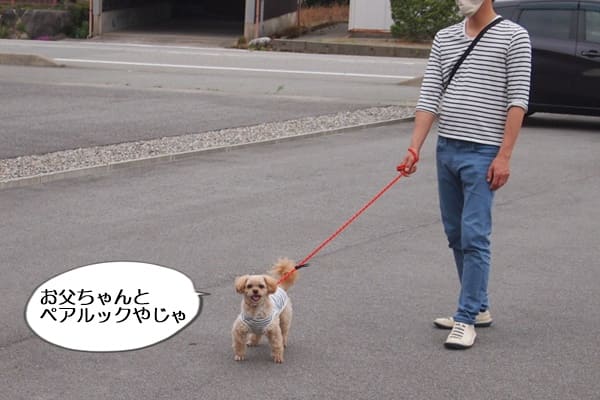 しましまの服が好きなので 愛犬コニーとはよくペアルックになってしまいます 富山県滑川市のトリミングのお店 Dogsalon Anton